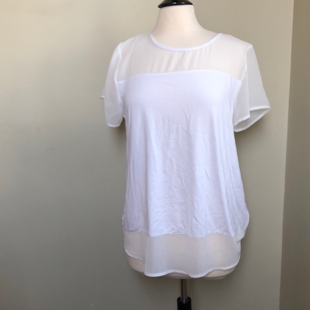 Mesh Paneled Top